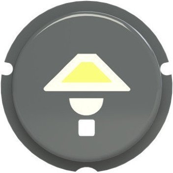SBL-N2GR Кнопка освещение free@home, Zenit, серый, 2CLA202610N1402 в Гатчине